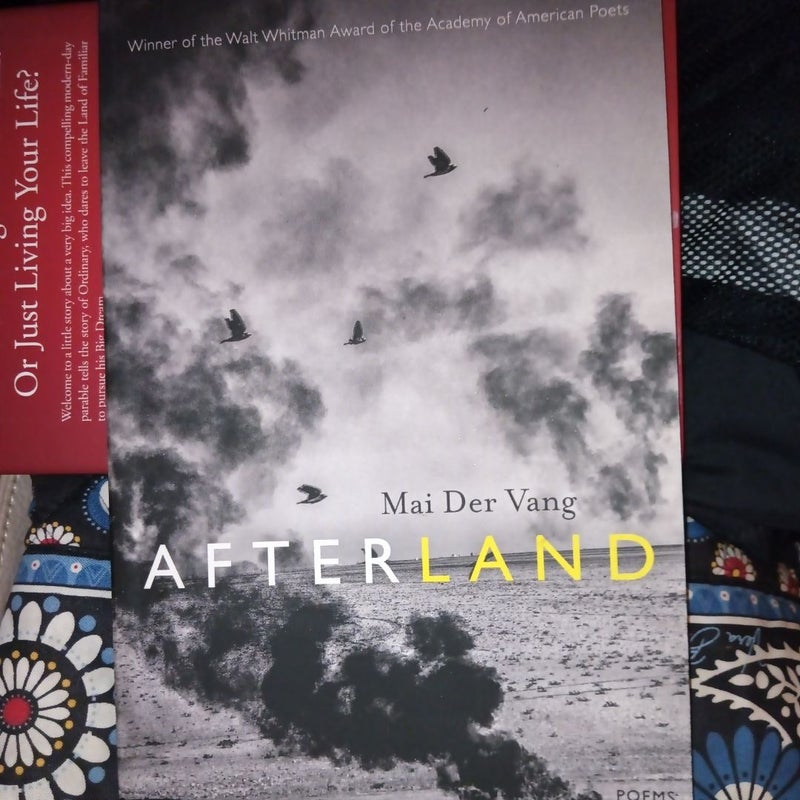 Afterland