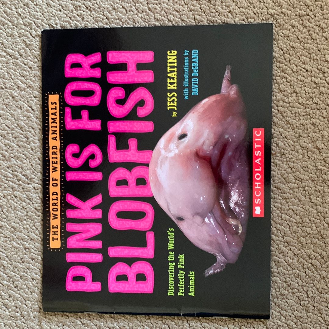 Eat Your Rocks, Croc!: Dr. Glider's Advice for Troubled Animals