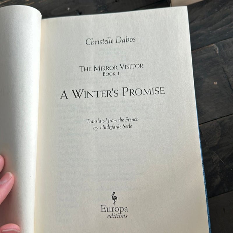 A Winter's Promise (English)