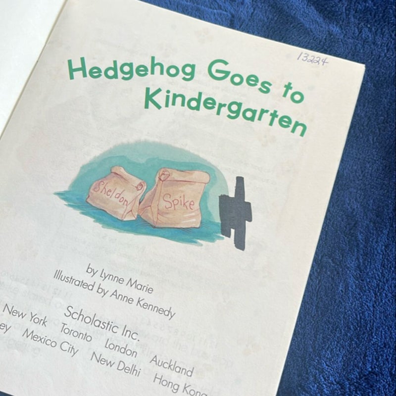 Hedgehog Goes to Kindergarten