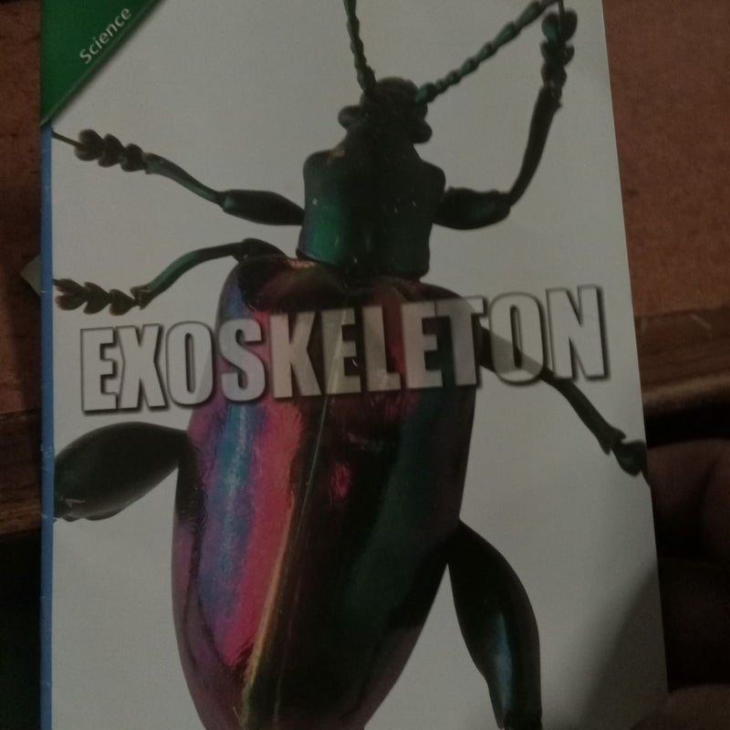 Exoskeleton