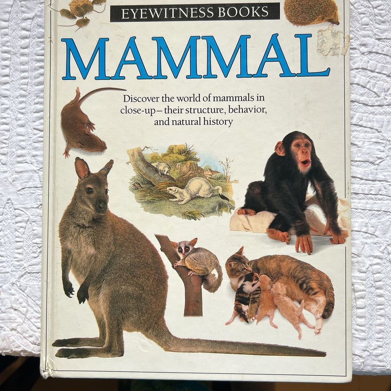 Mammal