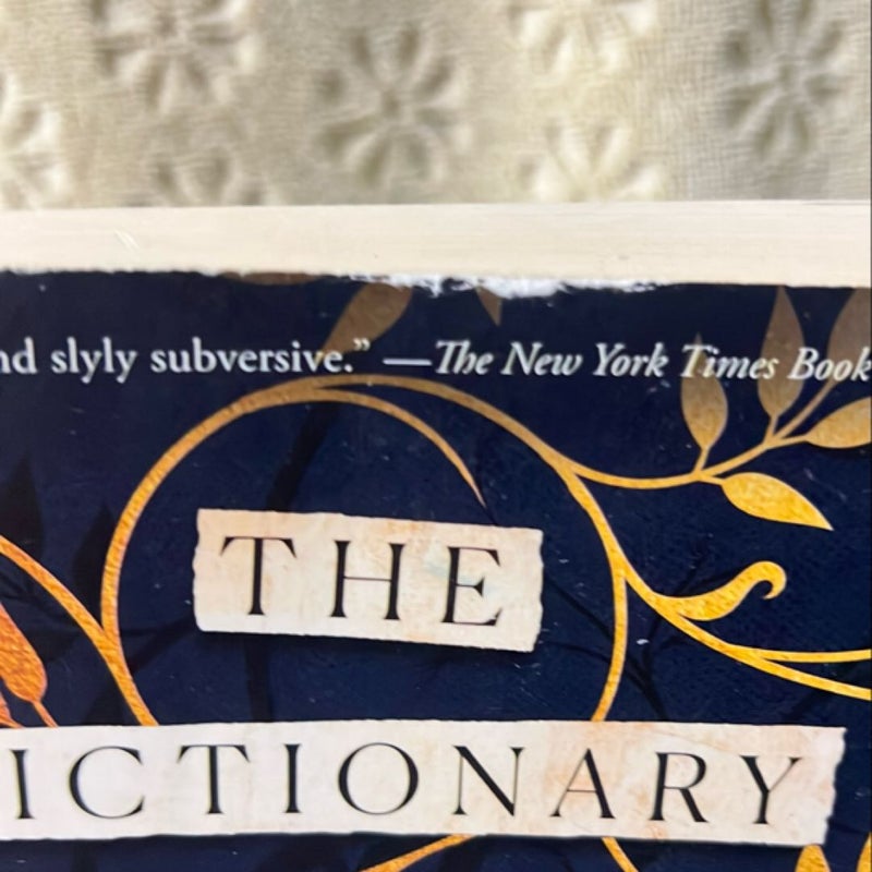 The Dictionary of Lost Words