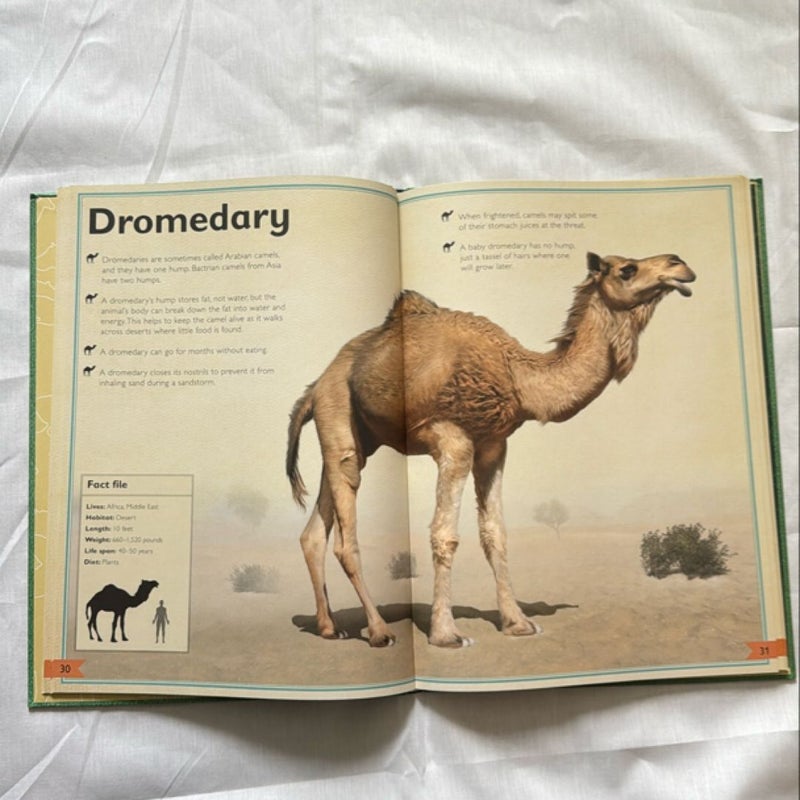 The Magnificent Book of Animals