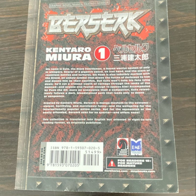 Berserk Volume 1