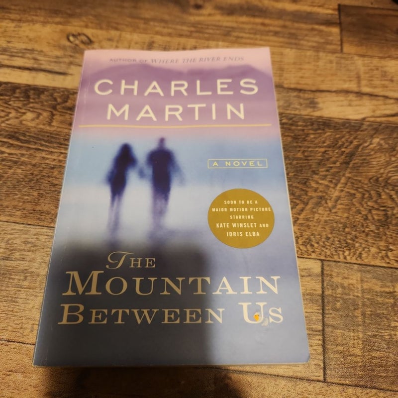 The Mountain Between Us