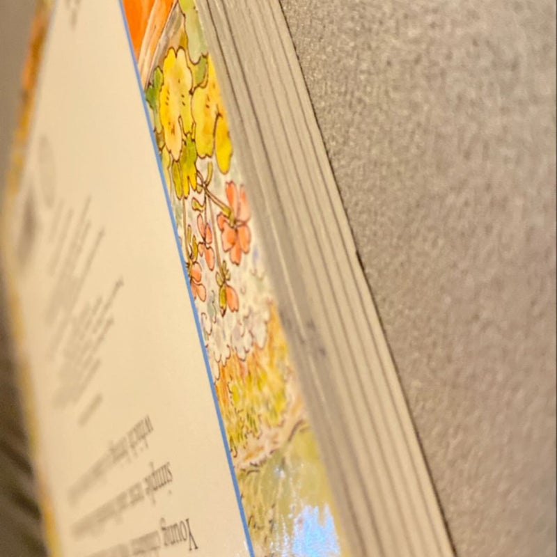 The Tale of Peter Rabbit Story Board Book