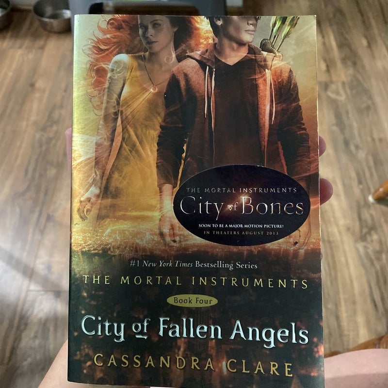 City of Fallen Angels