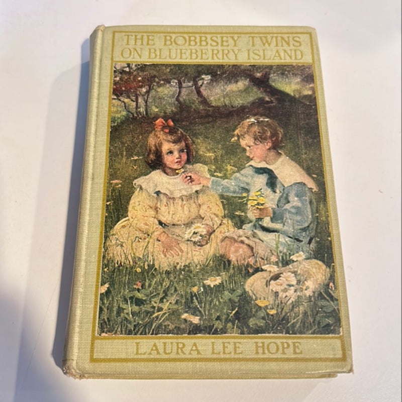 The Bobbsey Twins on Blueberry Island