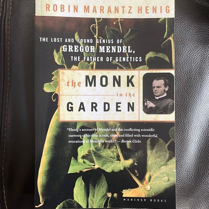 The Monk in the Garden