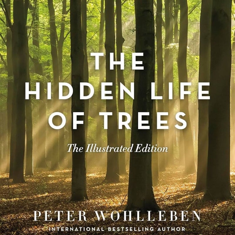 The Hidden Life of Trees