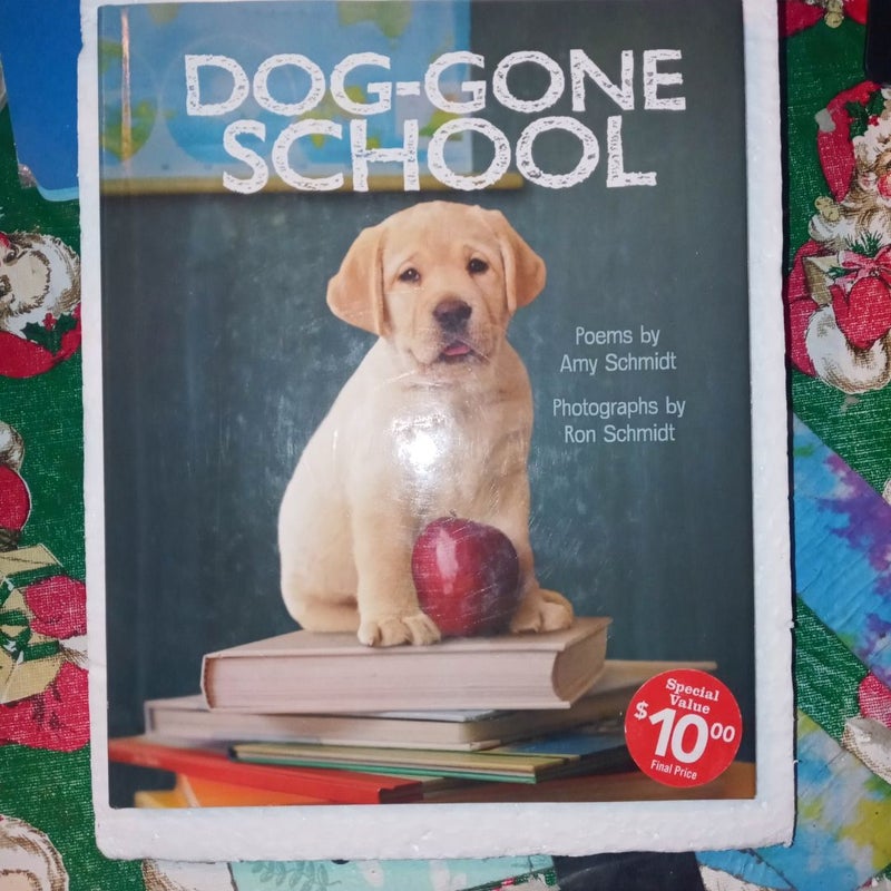 Dog-Gone School