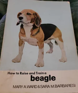 How To Raise And Train A Beagle 