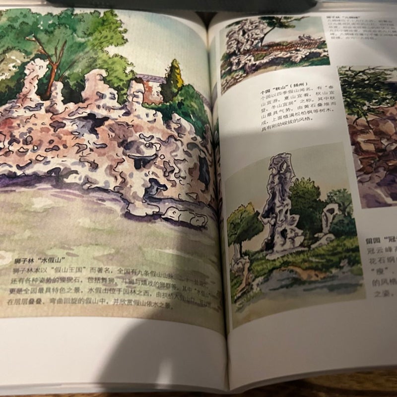 Chinese book Journal of Leisure time 閑情偶寄