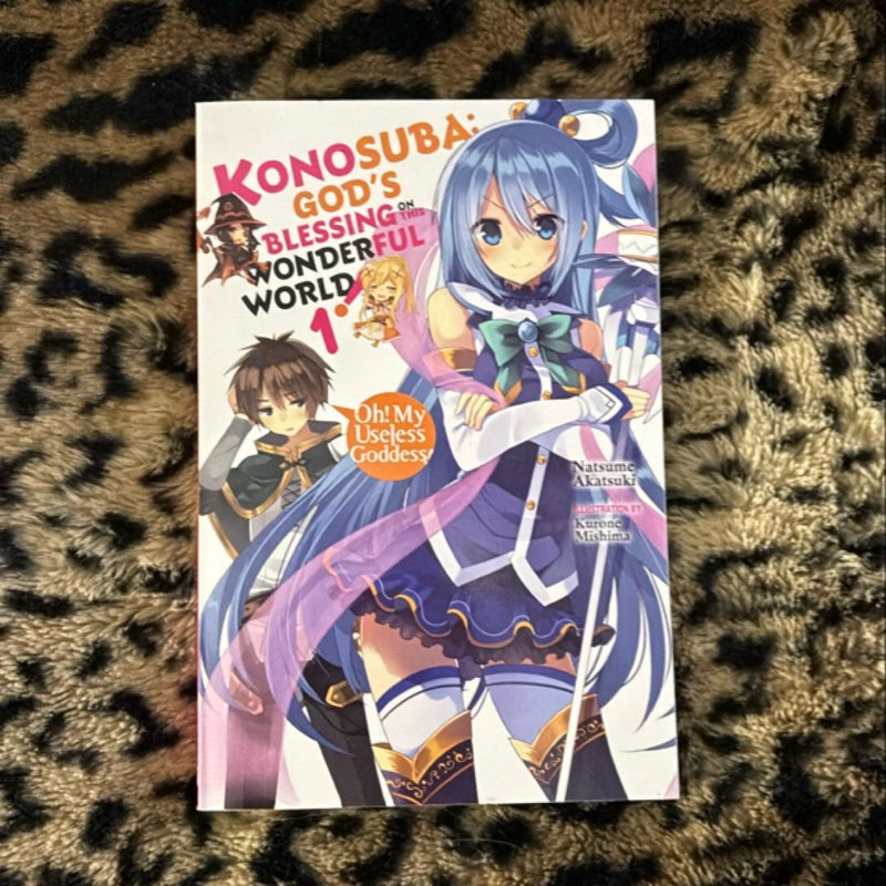 Konosuba: God's Blessing on This Wonderful World!, Vol. 1 (light Novel)