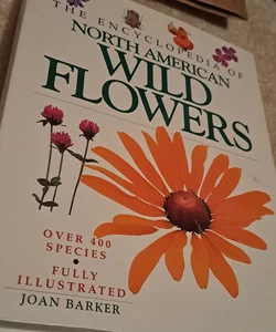 The Encyclopedia of North American Wild Flowers