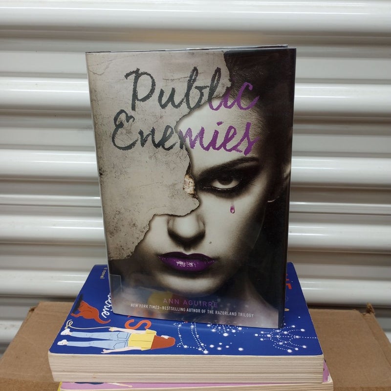 Public Enemies