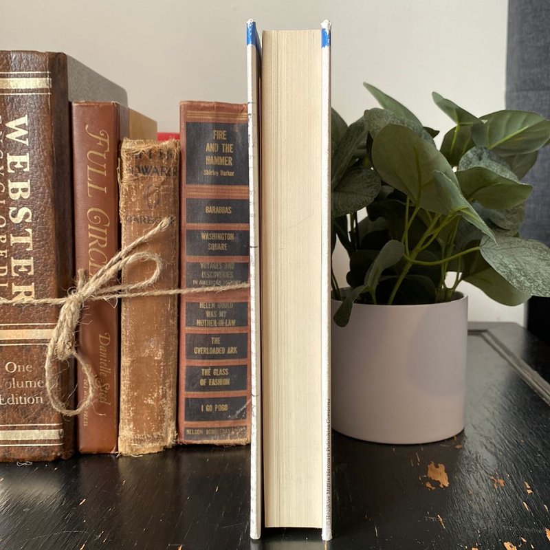 Miss Kopp's Midnight Confessions