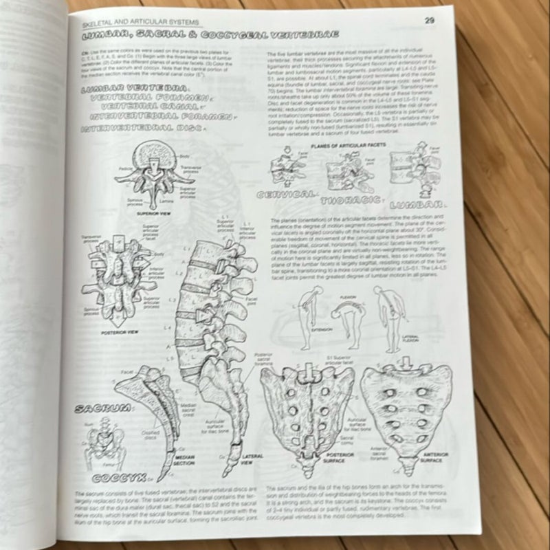 Third Edition: The Anatomy Coloring Book