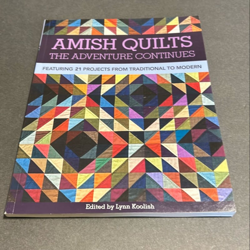 Amish Quilts-The Adventure Continues