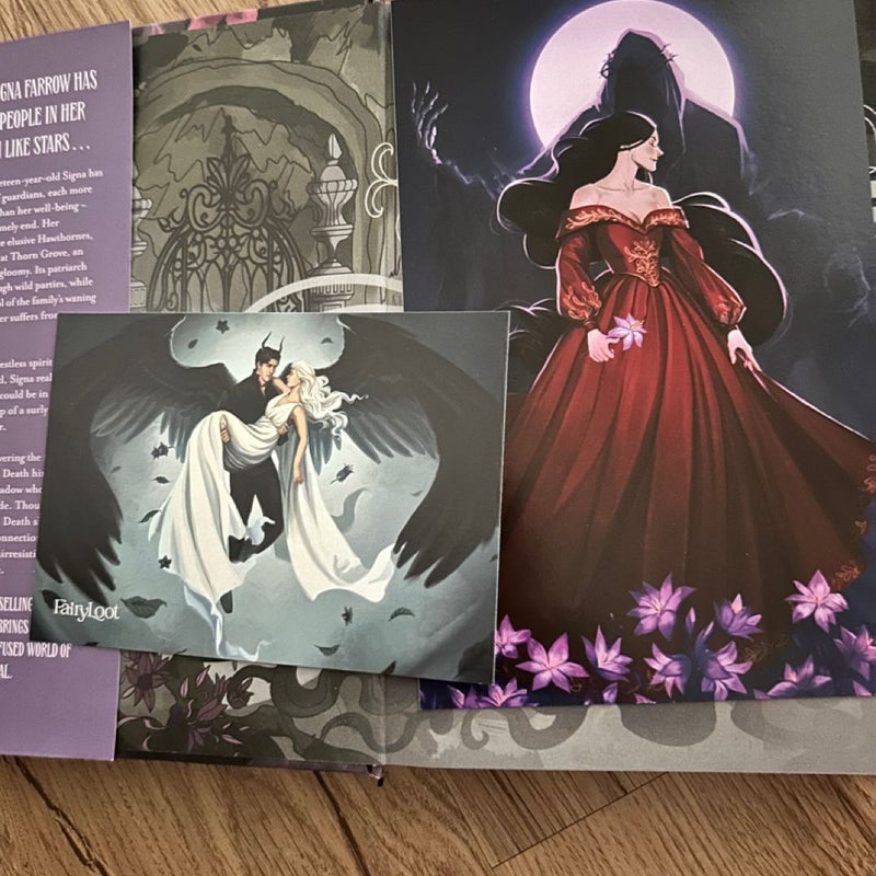Belladonna Series 