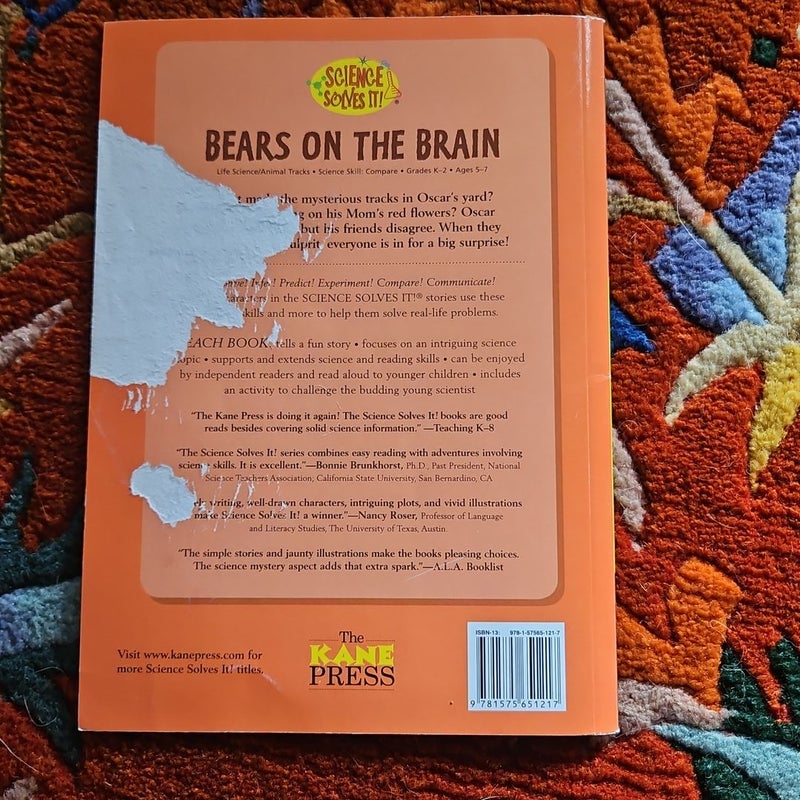 Bears on the Brain