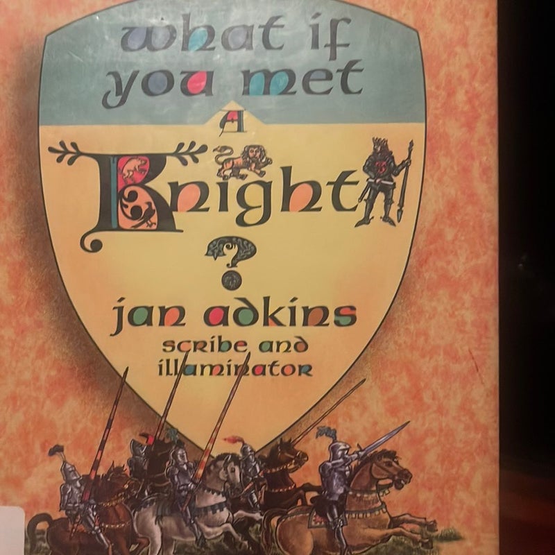 What If You Met a Knight?