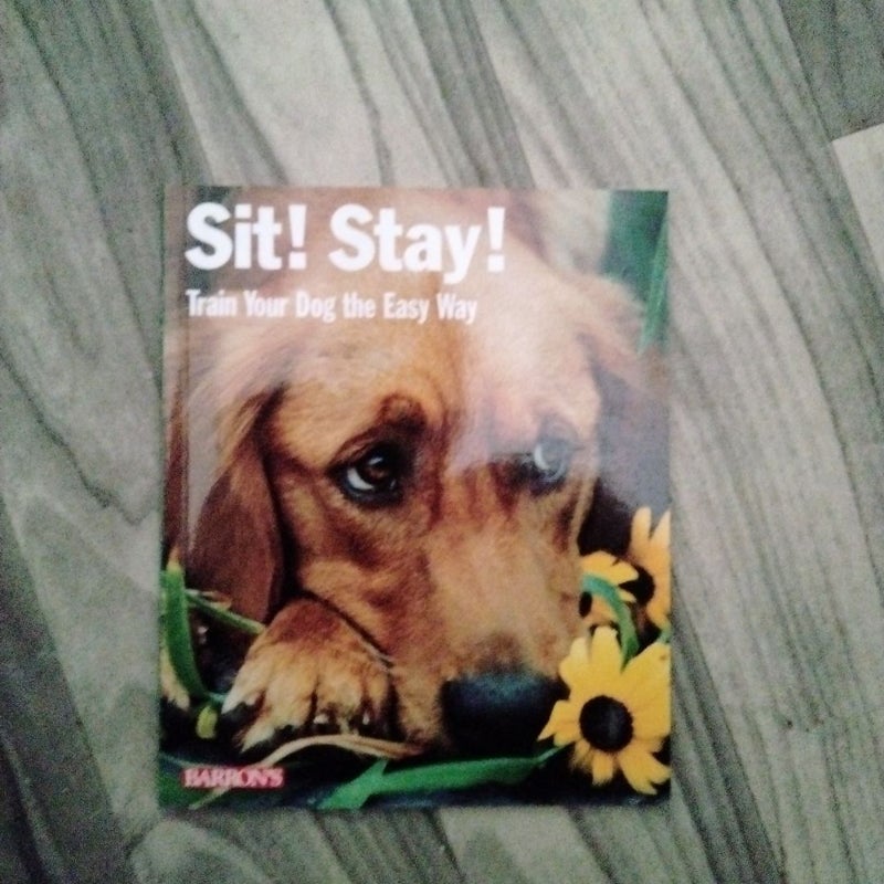 Sit! Stay! Train Your Dog the Easy Way