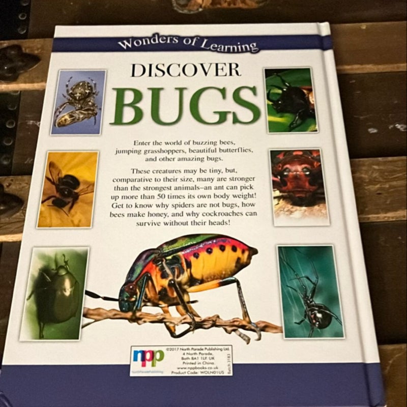 Discover Bugs