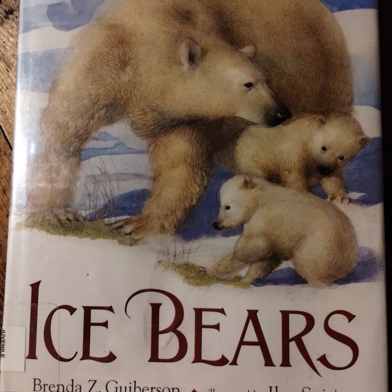 Ice Bears