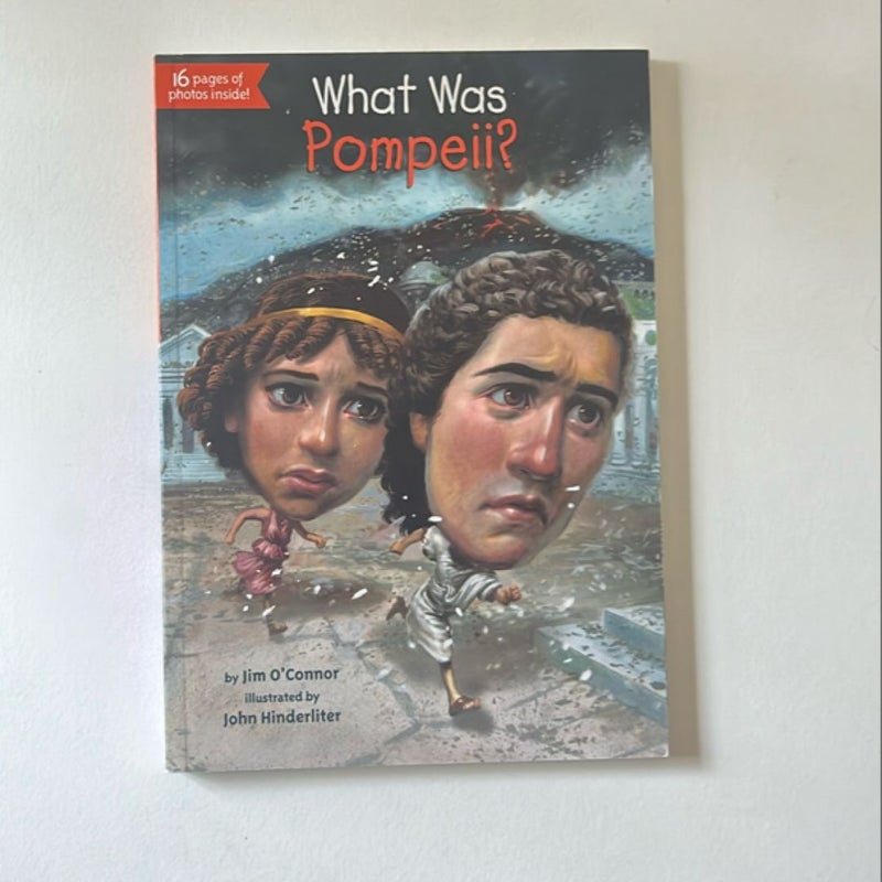 What Was Pompeii?