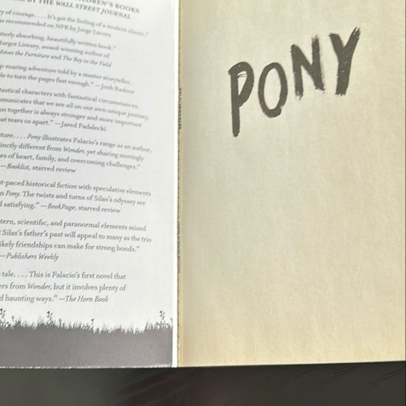 Pony