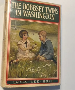 The Bobbsey Twins in Washington 