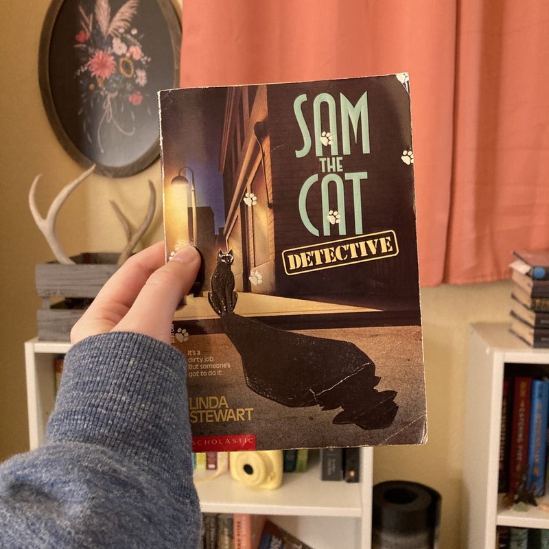 Sam the Cat Detective