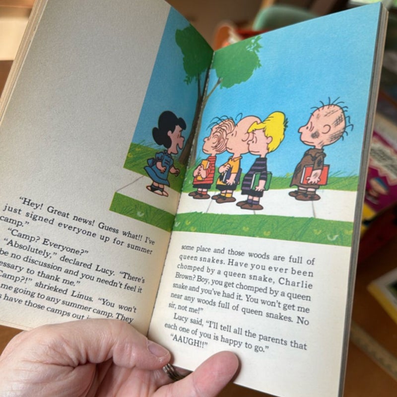 It Was a Short Summer, Charlie Brown