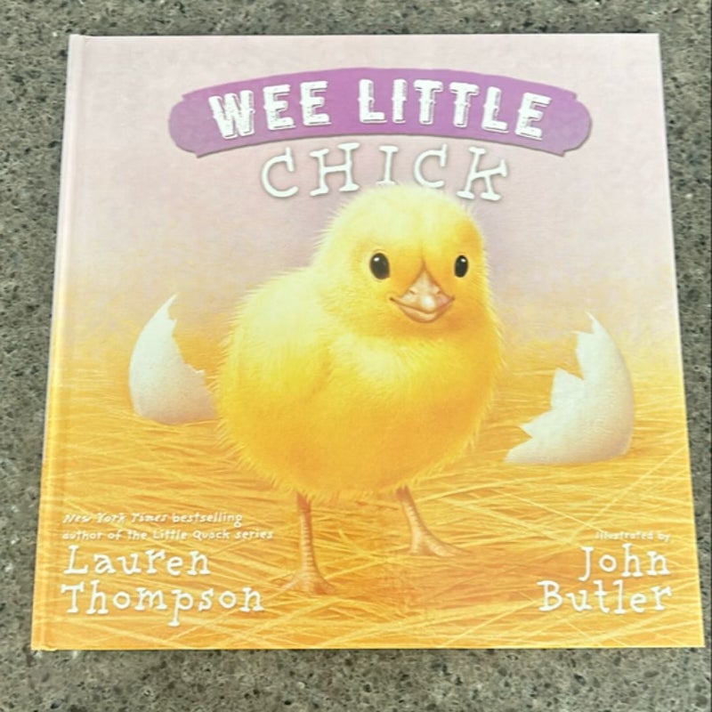 Wee Little Chick 