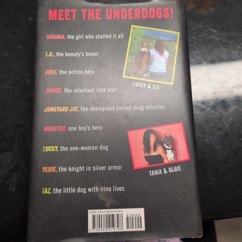 My Life among the Underdogs
