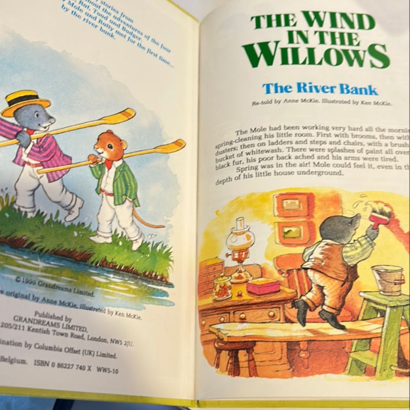 The Wind in the Willows the River Bank 