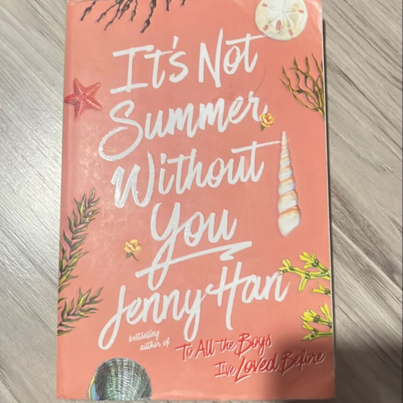 It's Not Summer Without You