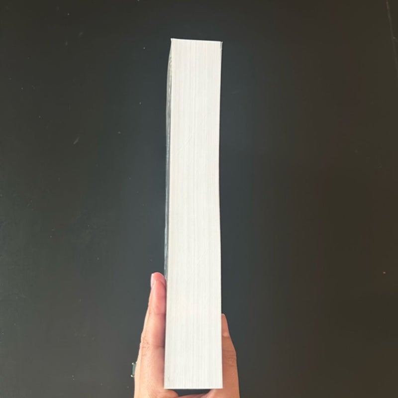 The Sinner Paperback