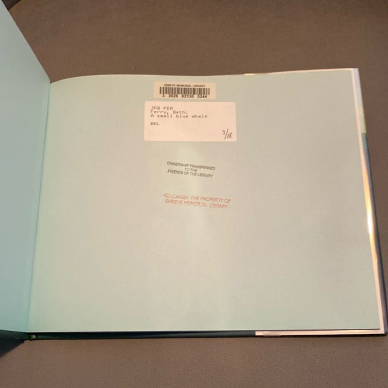 A Small Blue Whale
