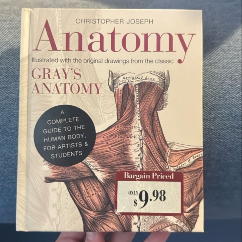 Anatomy