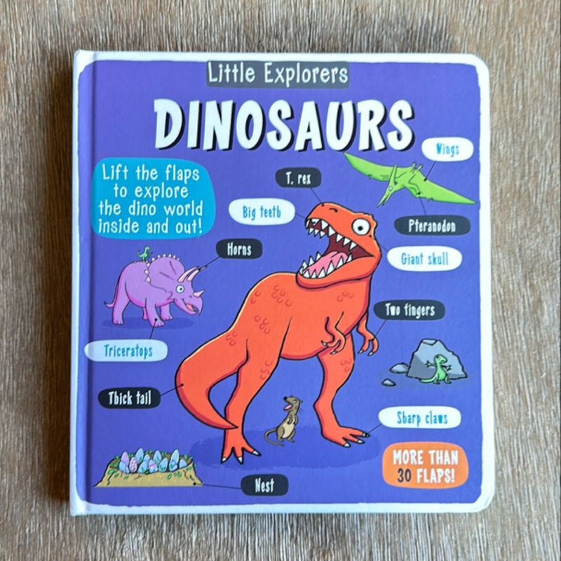 Little Explorers: Dinosaurs