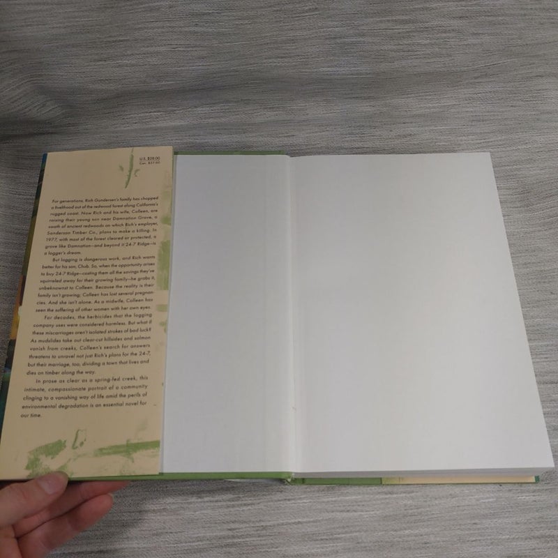 Damnation Spring (First ed)