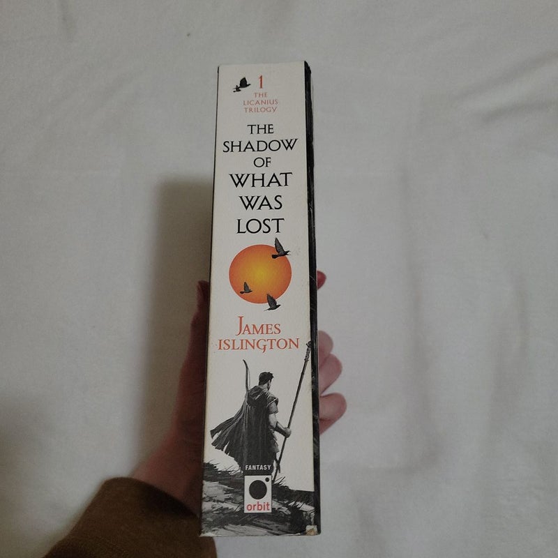 The Shadow of What Was Lost