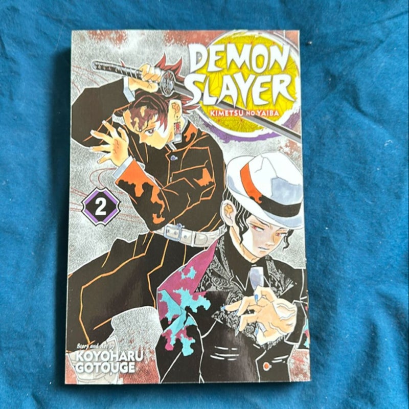 Demon Slayer: Kimetsu No Yaiba, Vol. 2