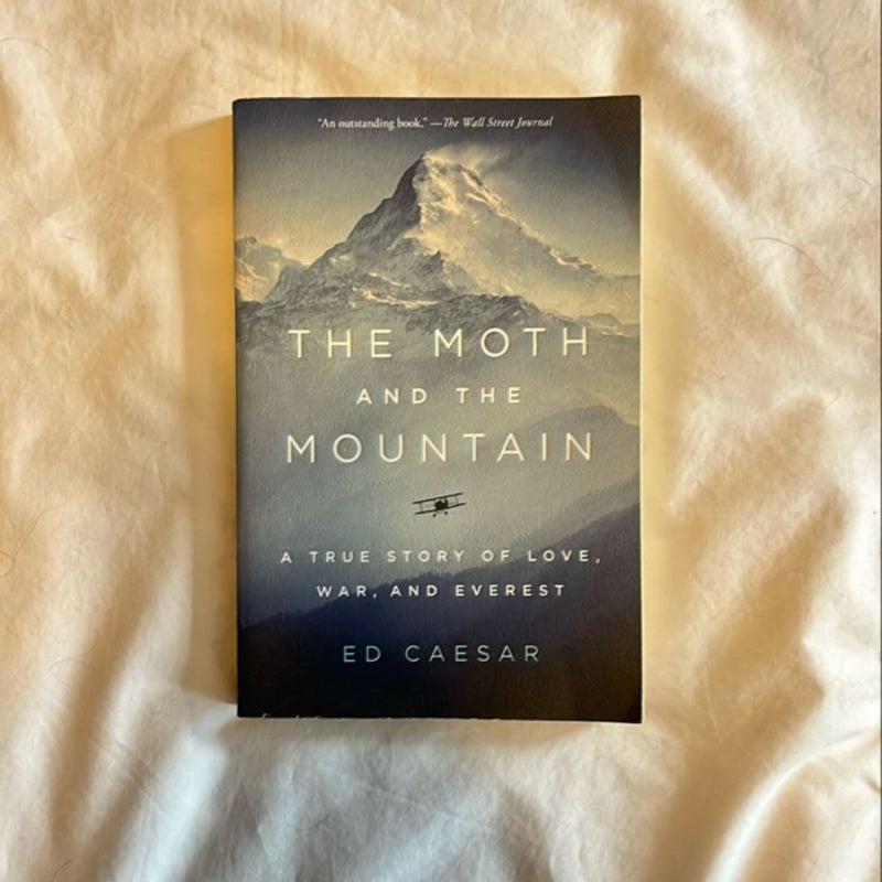 The Moth and the Mountain