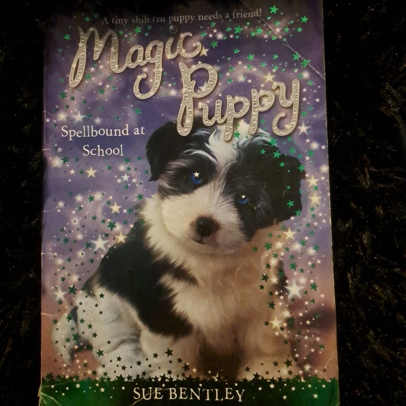 Magic puppy