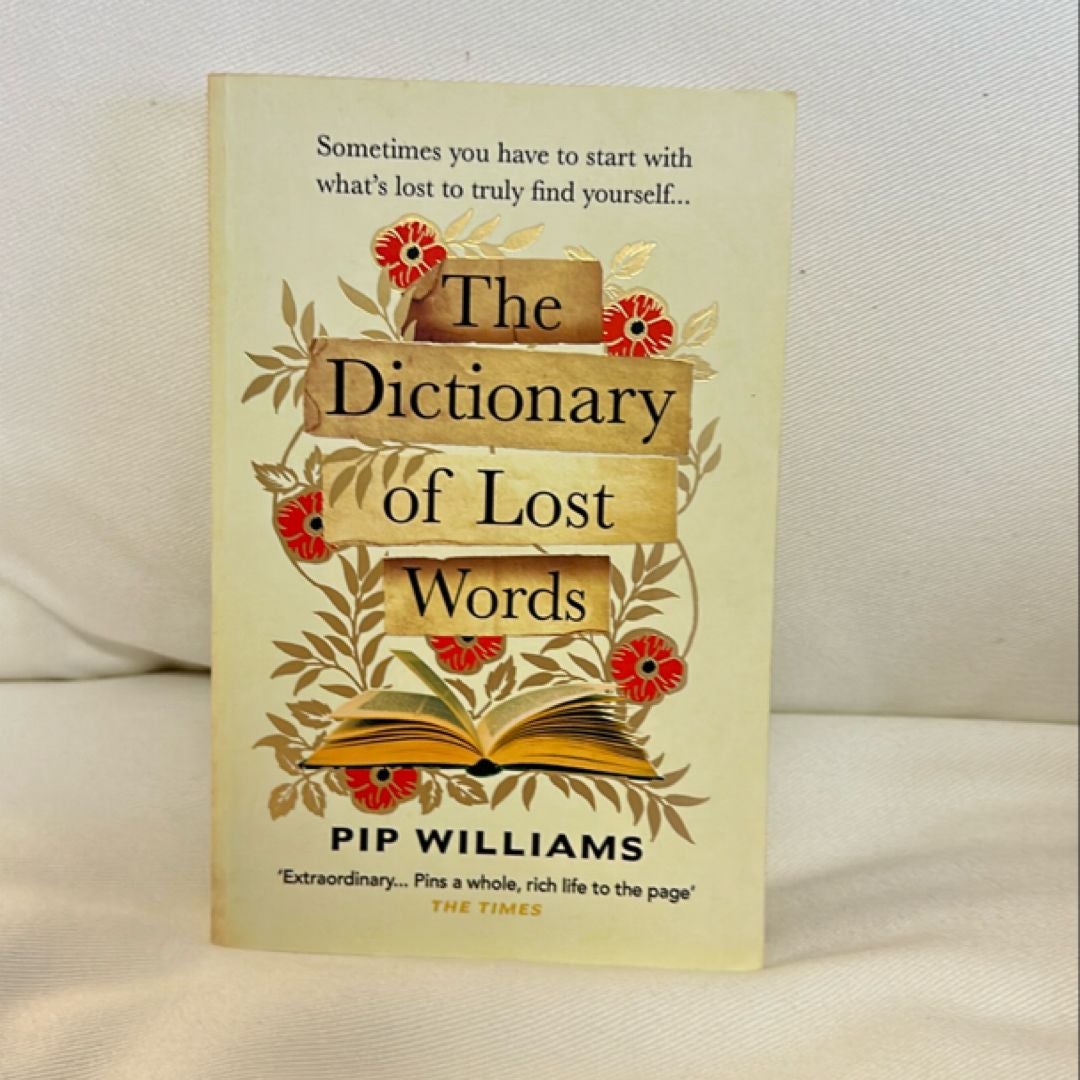 The Dictionary of Lost Words