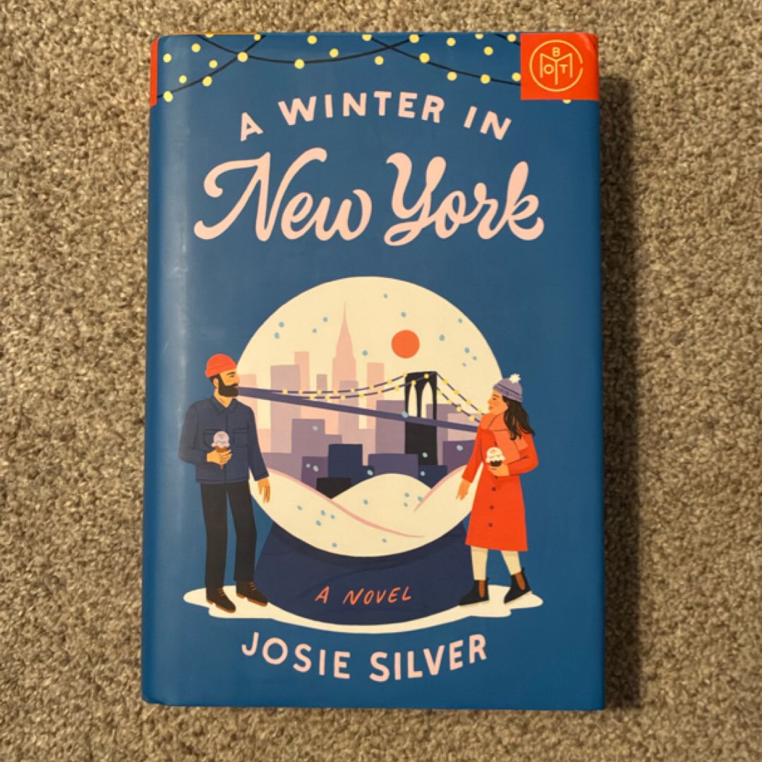 A Winter in New York